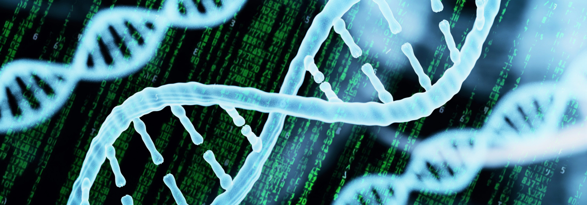 Image of DNA model, with vertical code in green text in the background.