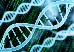 Image of DNA model, with vertical code in green text in the background.